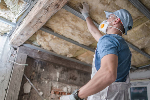 Best Insulation for Specific Applications in Griffin, GA